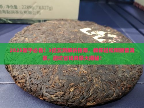 咋样辨别普洱茶