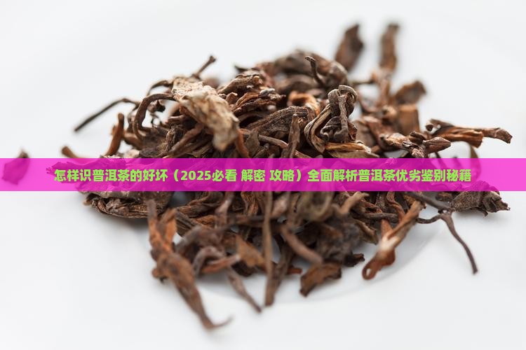怎样识普洱茶的好坏