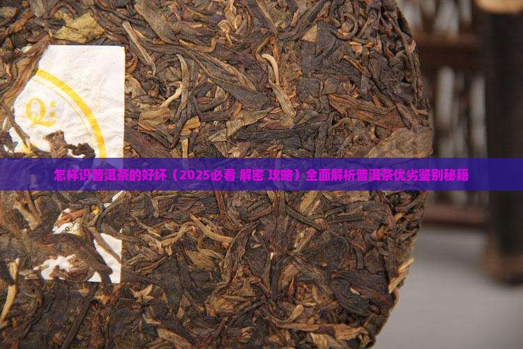 怎样识普洱茶的好坏