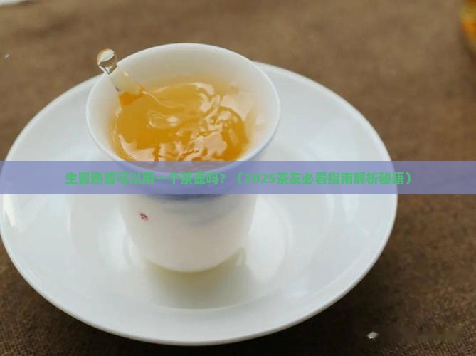 生普熟普可以用一个茶壶吗