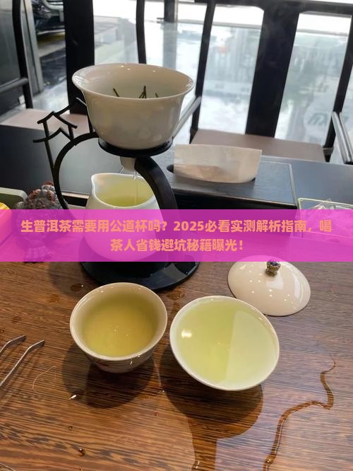 生普洱茶需要用公道杯吗