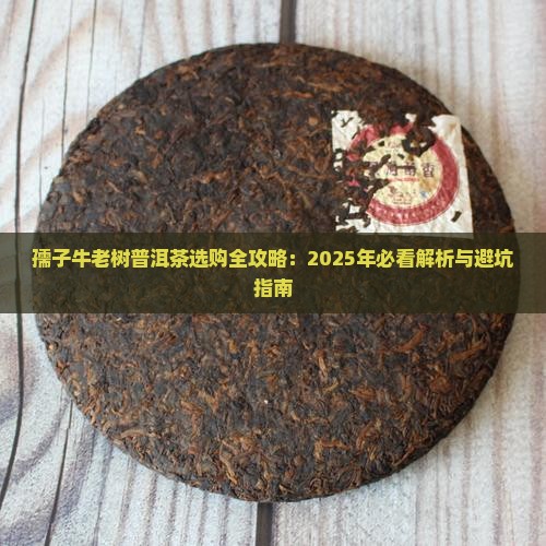 孺子牛老树普洱茶