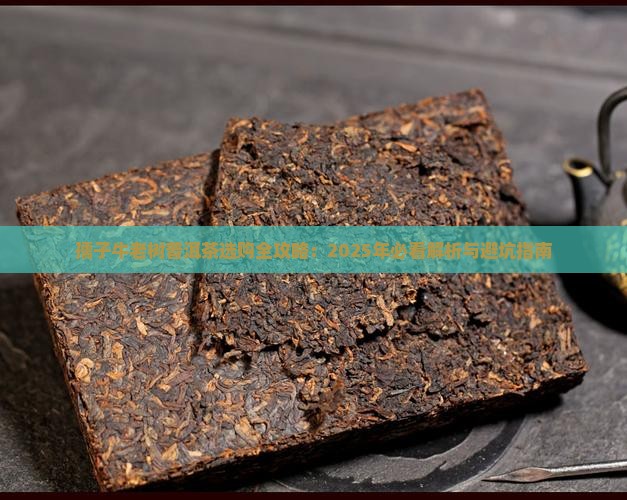 孺子牛老树普洱茶