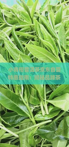 小青柑普洱茶京东自营红柑