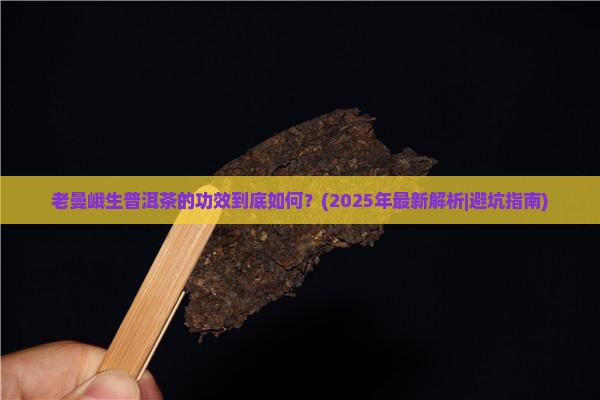 老曼峨生普洱茶功效