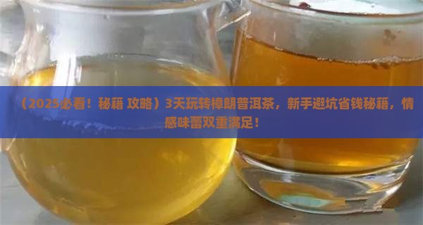 秘境樟朗普洱茶
