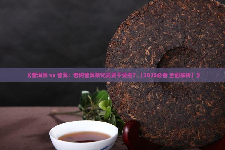 老树普洱茶用煮吗