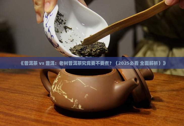 老树普洱茶用煮吗