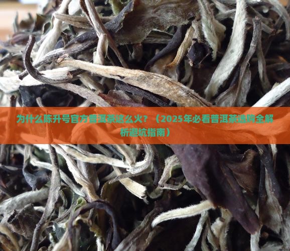 陈升号官方普洱茶