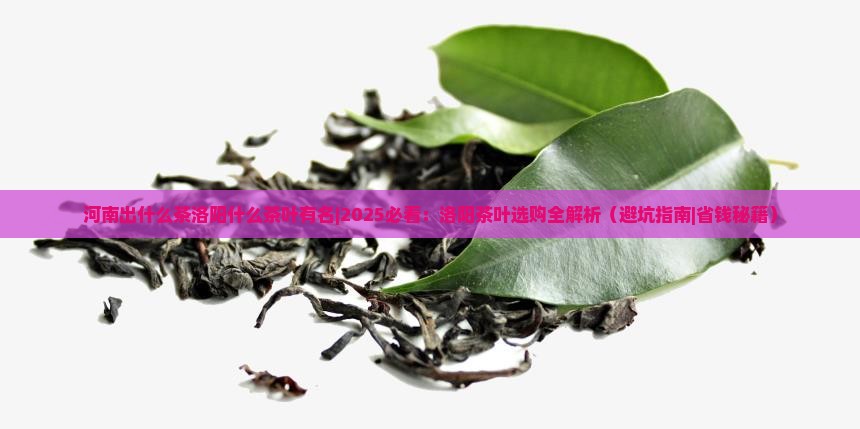 河南出什么茶洛阳什么茶叶有名