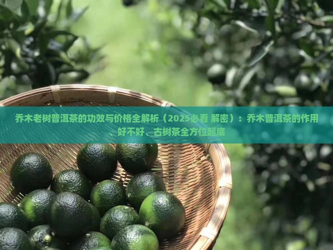 乔木老树普洱茶的功效