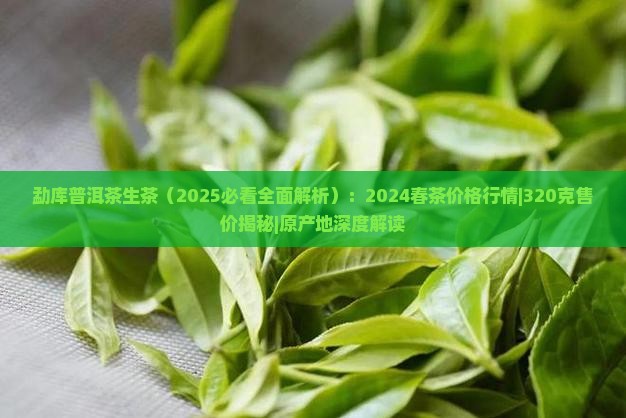 勐库普洱茶生茶
