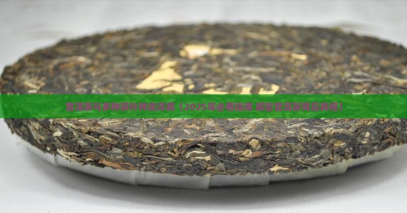 普洱茶种类多少种茶叶一样
