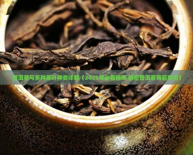 普洱茶种类多少种茶叶一样