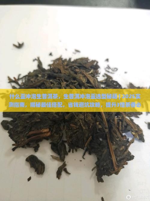 什么壶冲泡生普洱茶
