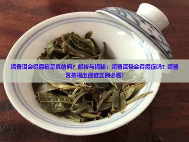 喝普洱会得癌症是真的吗