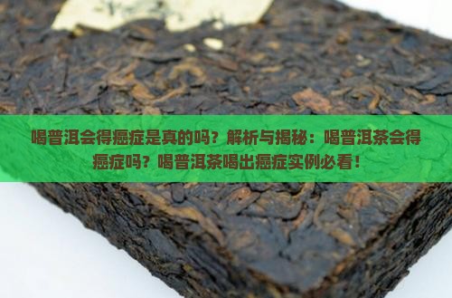 喝普洱会得癌症是真的吗