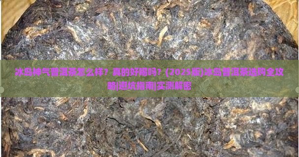 冰岛神气普洱茶怎么样好喝吗
