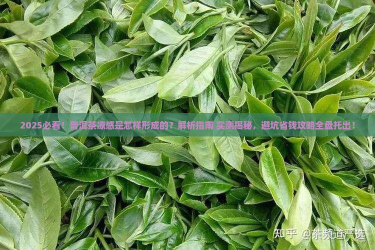 普洱茶的凉感是怎样形成的 普洱茶的凉感是怎样形成的