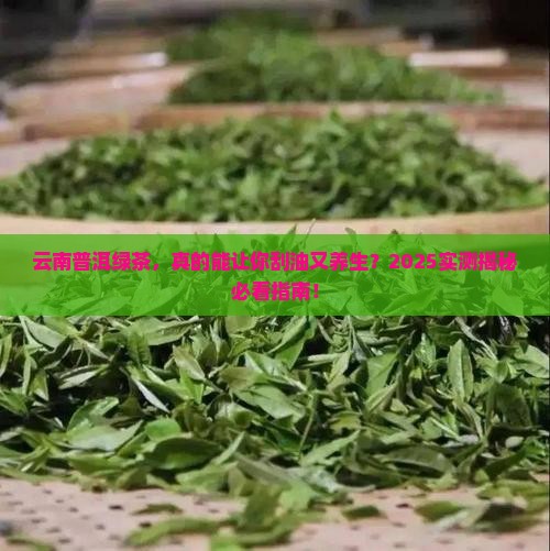 云南普洱茶绿茶的功效 云南普洱茶绿茶的功效
