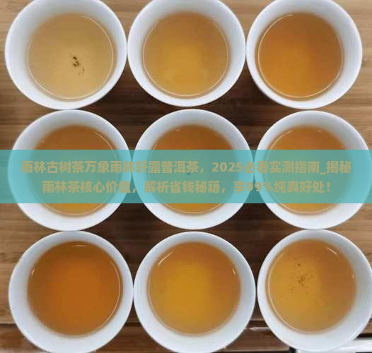 雨林古树茶万象雨林轩露普洱茶