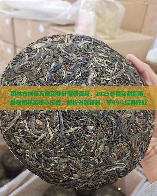 雨林古树茶万象雨林轩露普洱茶