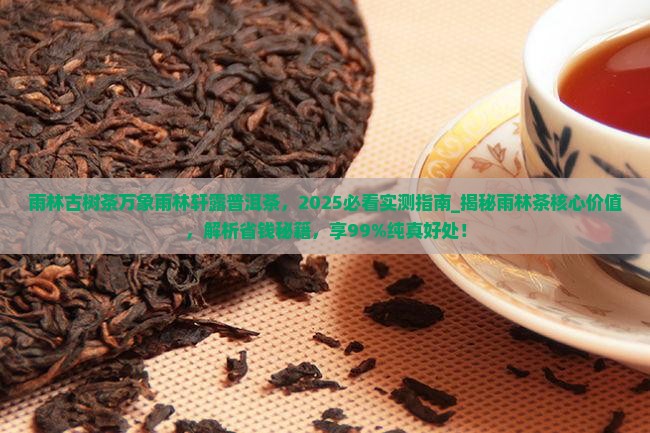 雨林古树茶万象雨林轩露普洱茶