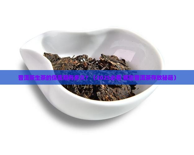 普洱茶生茶可以放多少年