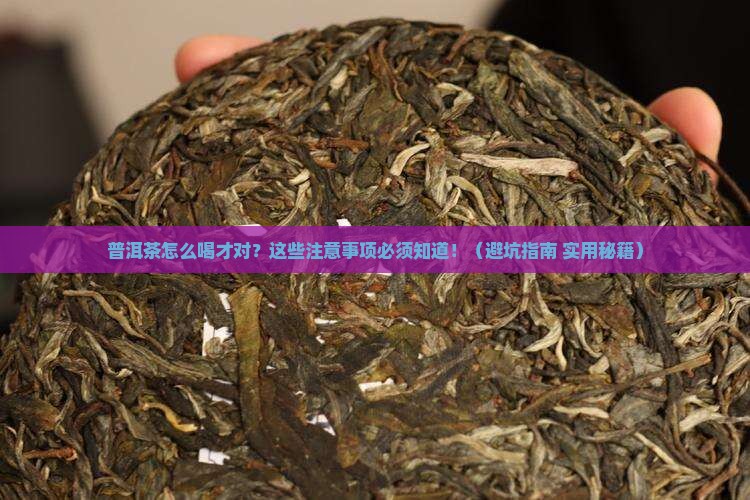 普洱茶的饮用注意事项