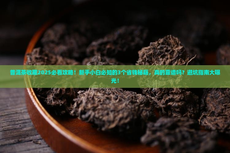 普洱茶适合购买藏吗