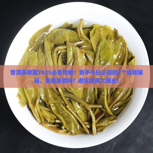 普洱茶适合购买藏吗