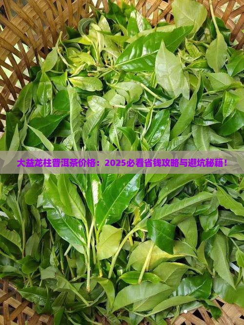 大益龙柱普洱茶价格