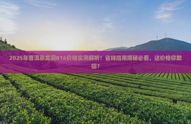 普洱茶龙润816价格今年