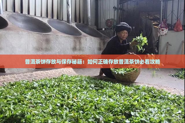 普洱茶饼怎么存放购买藏