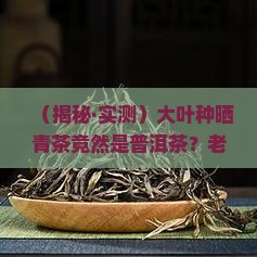 大叶种晒青茶是普洱茶吗