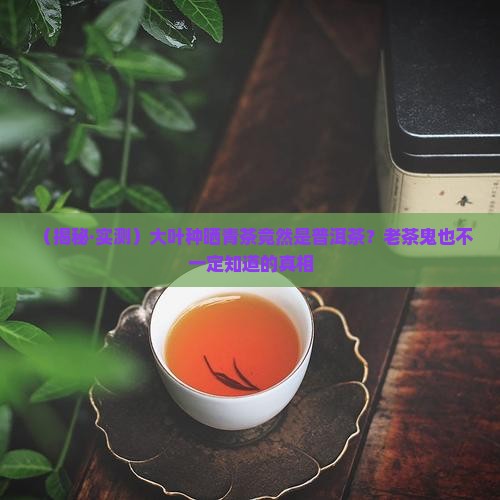 大叶种晒青茶是普洱茶吗