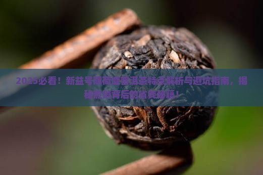新益号薄荷塘普洱茶的特点