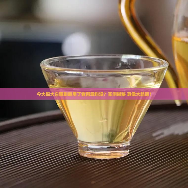 今大福大白菜是老班章料吗