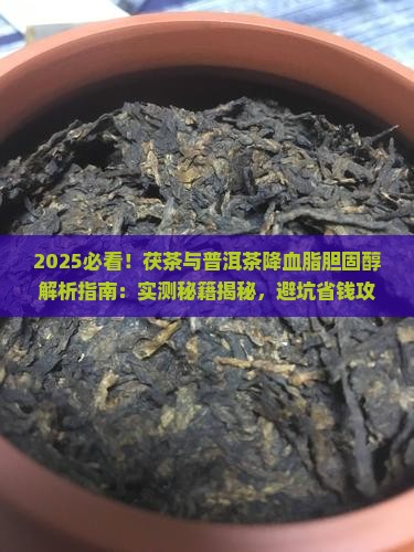 茯茶与普洱茶降血脂胆固醇