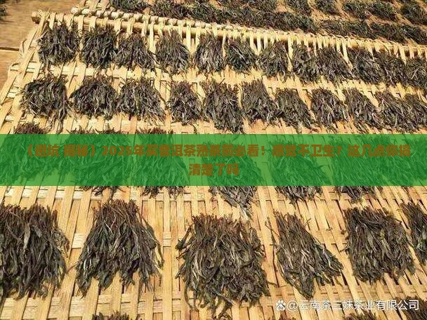 感觉普洱茶熟茶不卫生