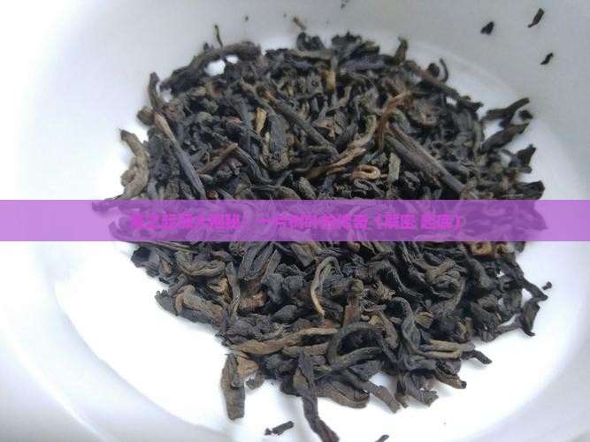 茶是谁发明的茶叶最早是谁发现的
