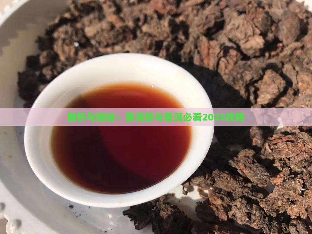 追寻普洱茶的道路上