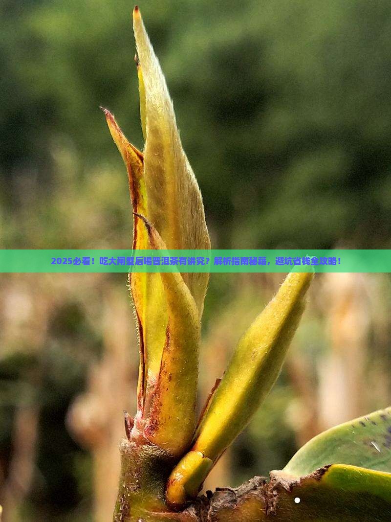 吃大闸蟹后可以喝普洱茶吗