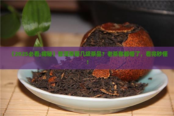 普洱茶属于几级茶品类型
