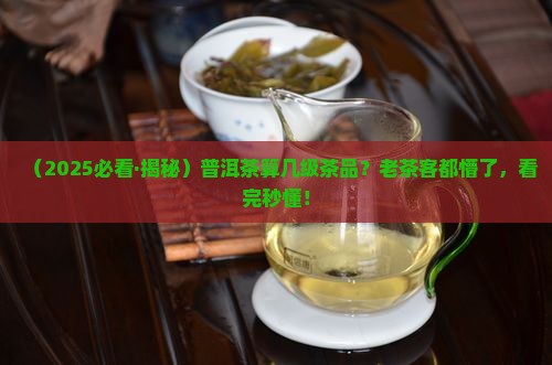普洱茶属于几级茶品类型