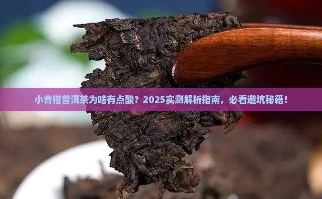 小青柑普洱茶有点酸 小青柑普洱茶有点酸