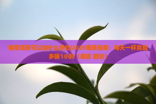 喝普洱茶可以加什么好处