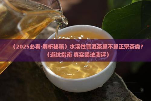 水溶性普洱茶是什么茶类