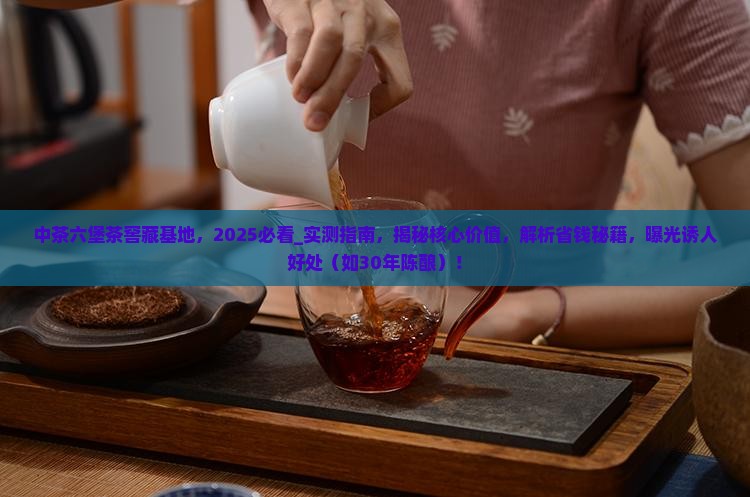 中茶六堡茶窖藏基地