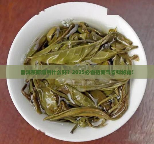 普洱茶防潮用什么好